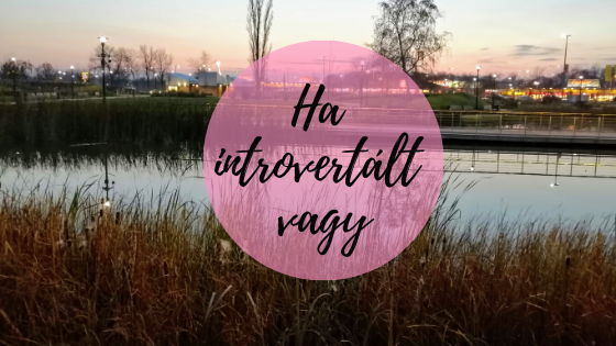 Read more about the article Introvertált vagy? Ez neked szól!